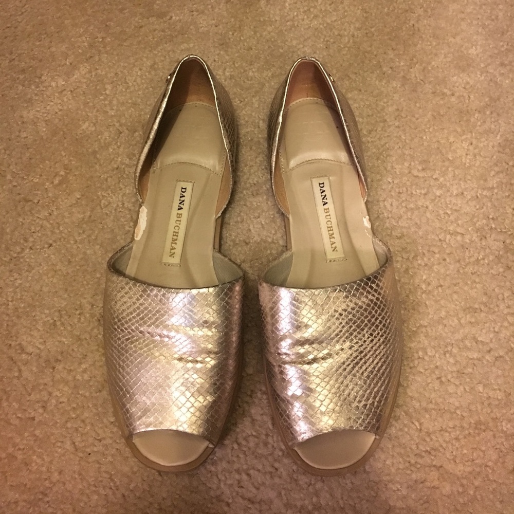 Flat sandals- Dana Buchman
