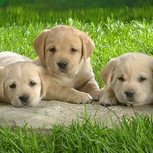 Meet your Posher, Kaylee