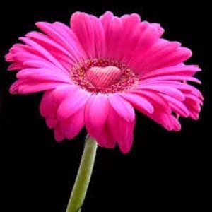 Meet your Posher, Andre