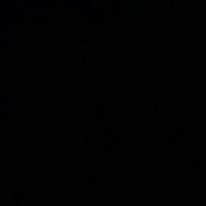 Meet your Posher, Terry