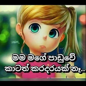 Meet your Posher, Anne