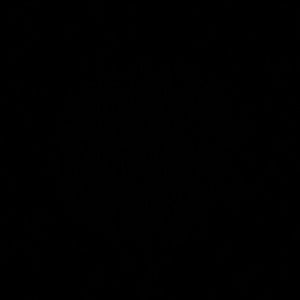 Meet your Posher, Rosa