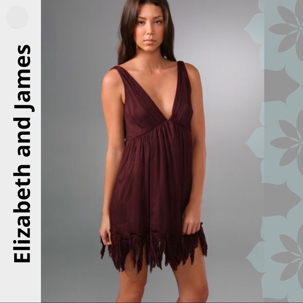 ❤️HOST PICK❤️ELIZABETH and JAMES fringe silk dress