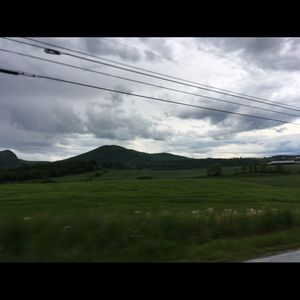 Meet your Posher, Sadie