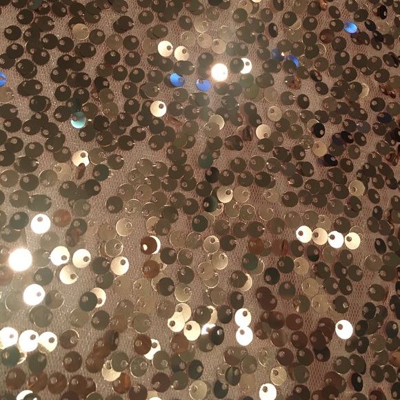 Arrived! Rose gold sequin off shoulder top - Picture 4 of 7