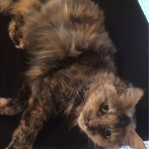 Meet your Posher, Olivia