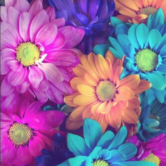 Meet your Posher, Pam - Picture 1 of 1