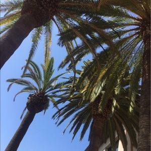 Meet your Posher, Sandra