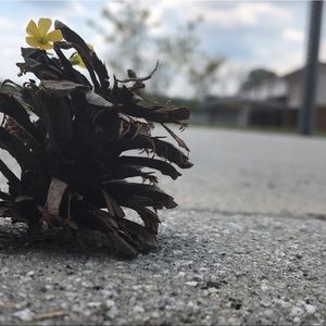 Meet your Posher, Zavion