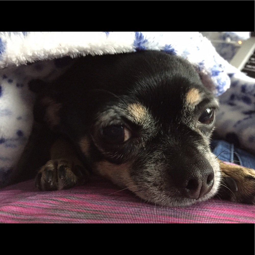 Meet your Posher, Amanda