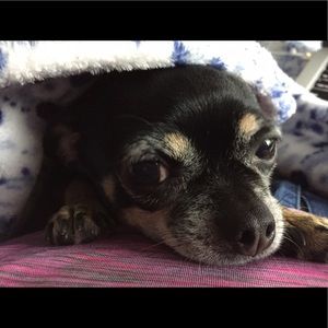 Meet your Posher, Amanda