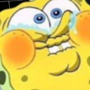 Meet your Posher, Priscilla