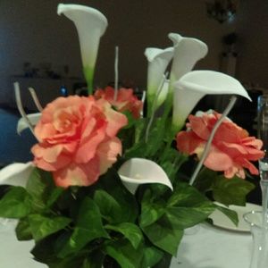 Meet your Posher, Terry