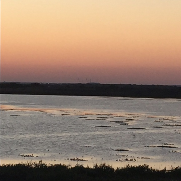 Meet your Posher, Lisa - Picture 1 of 1