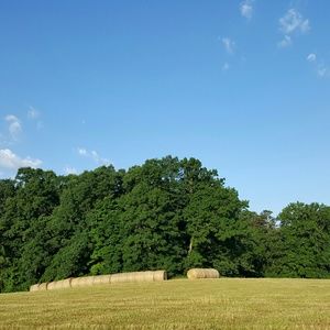 Meet your Posher, Sheila