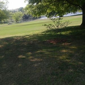 Meet your Posher, Stephen