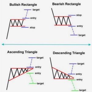 Meet your Posher, Bishop