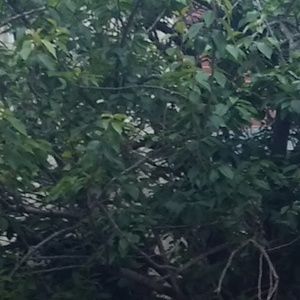 Meet your Posher, Jaylene