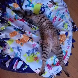 Meet your Posher, Amber