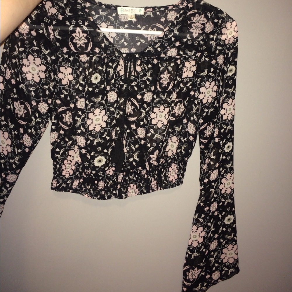 Small, long sleeve, sheer crop top