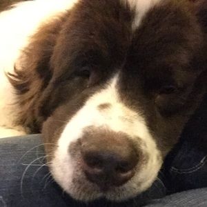 Meet your posher.. not for sale