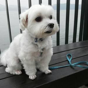 Meet your Posher, Sophia