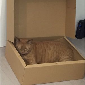 Meet your Posher, Euijoon