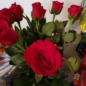 Meet your Posher, Delia