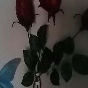 Meet your Posher, Patricia