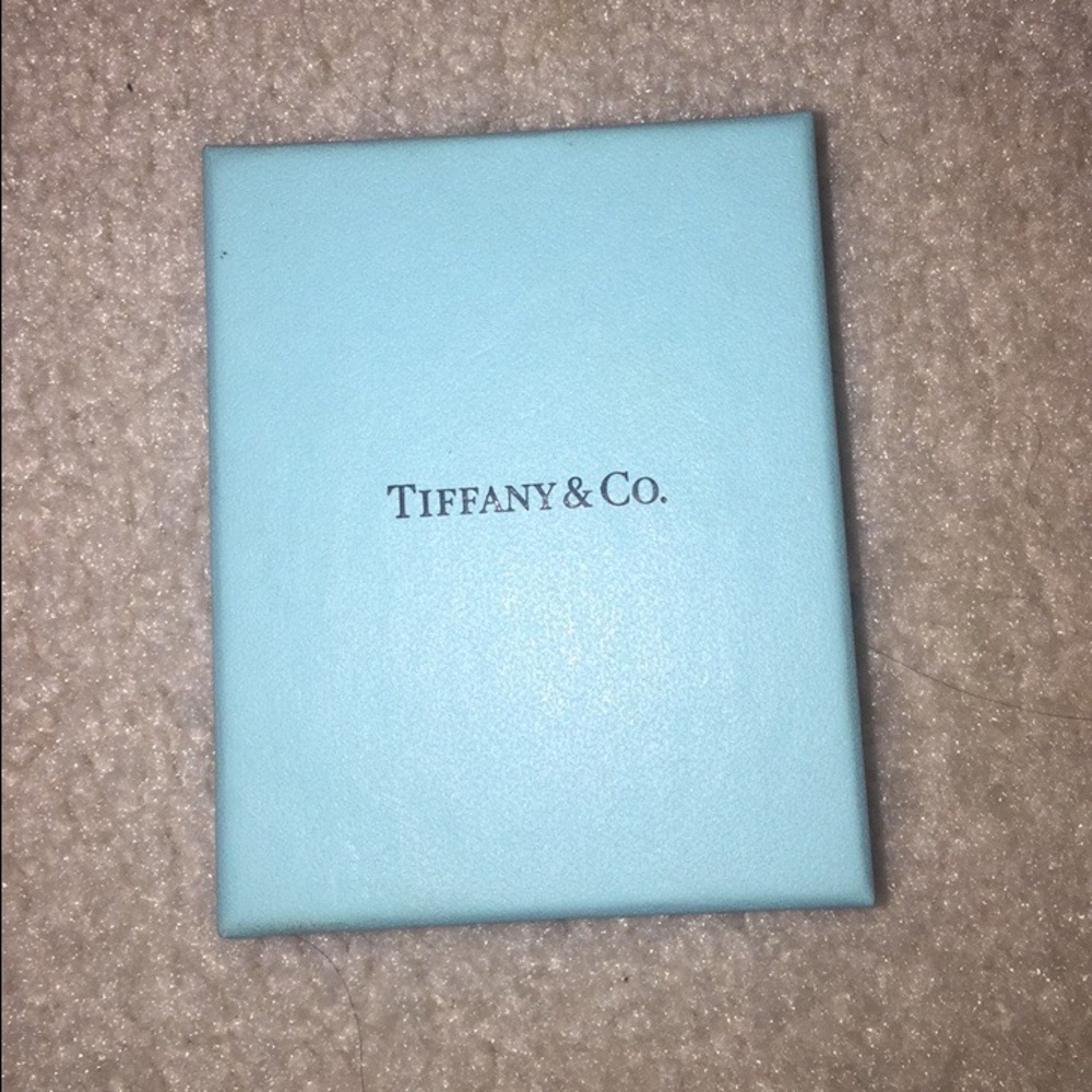 TIFFANY & CO. NECKLACE || LIMITED EDITION