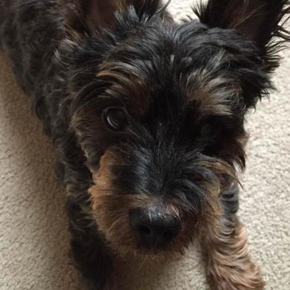 Meet your Posher, Donna