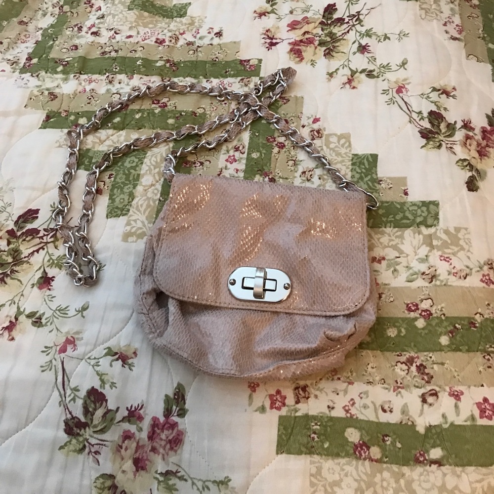 Charlotte Russe purse