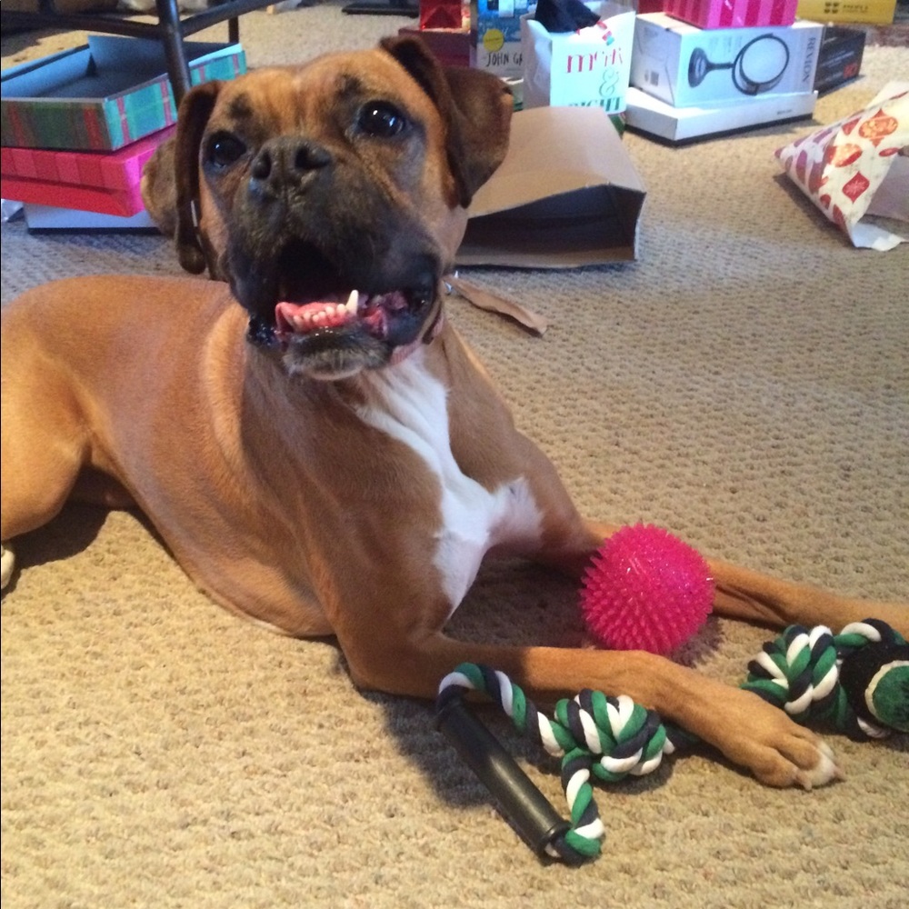 Meet your Posher, Jocelyn