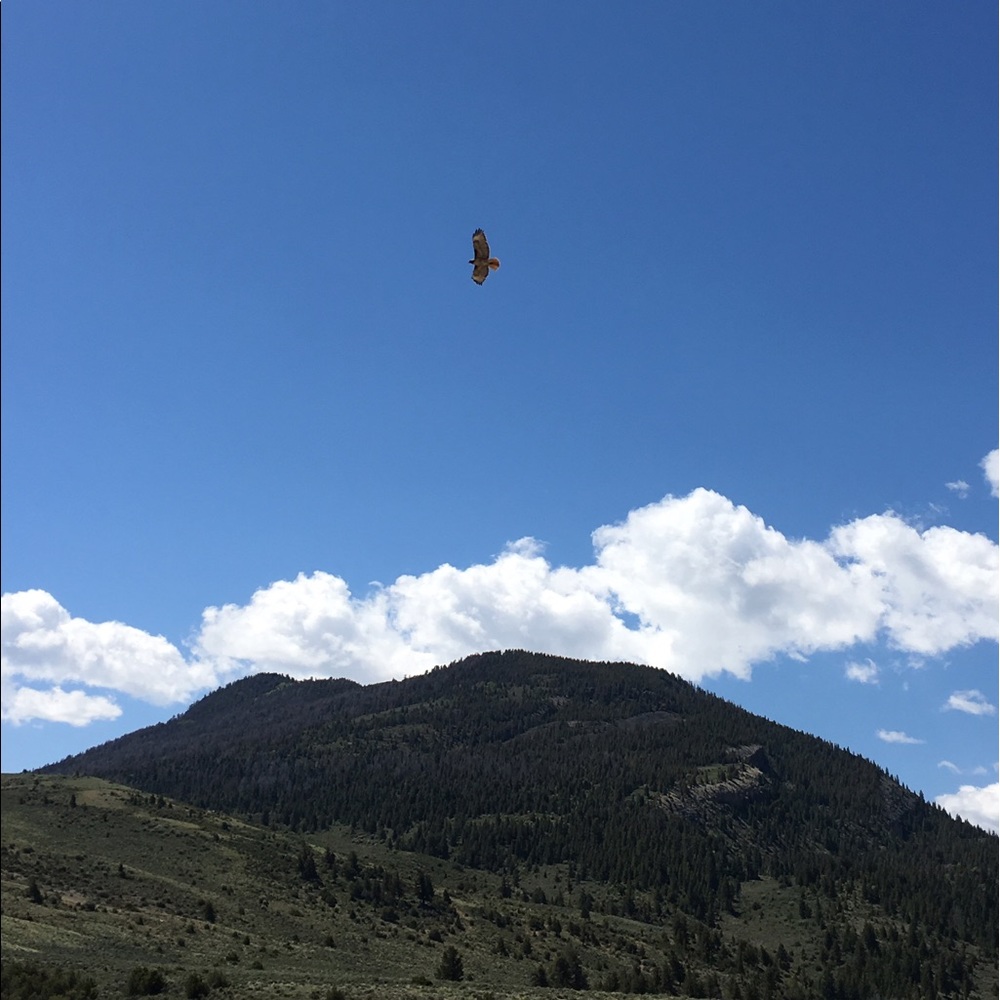 Meet your Posher, Tiffany