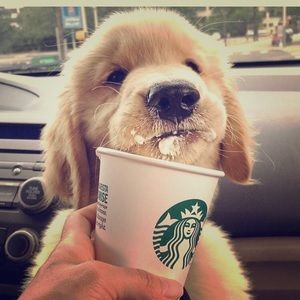 BLACK FRIDAY SALE- Everything must go!!!