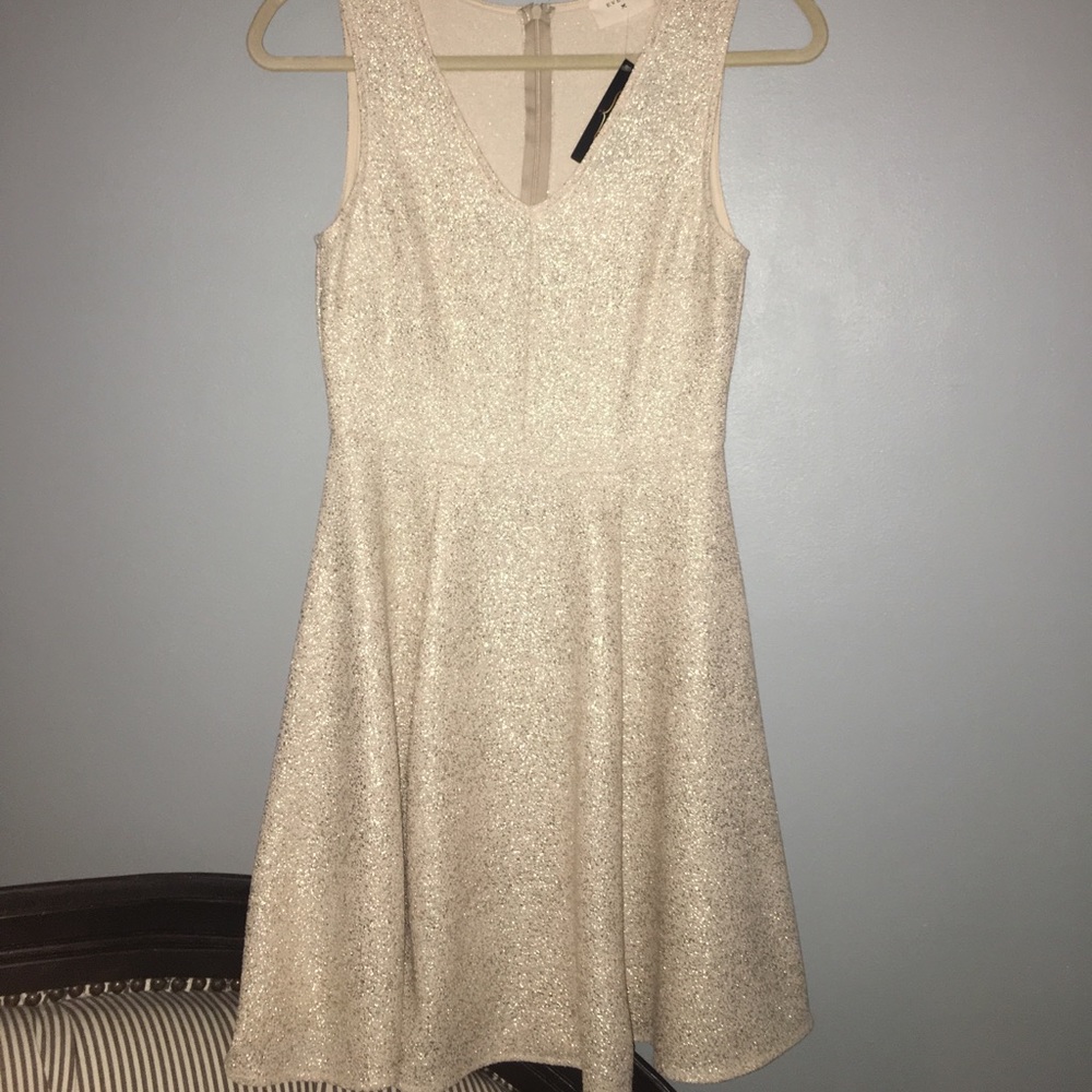 GORGEOUS NWT Gold Flake Dress