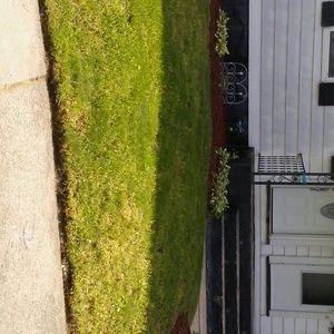 Meet your Posher, Hector