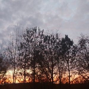 Meet your Posher, Traci