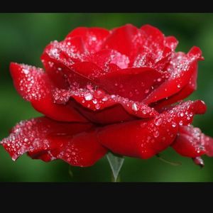 Meet your Posher, Avneet