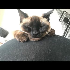 Meet your Posher, Erica