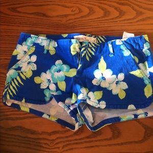 Hollister Shorts