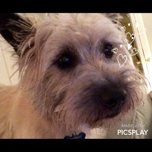 Meet your Posher, Shawn