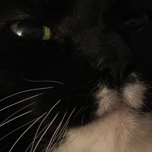 Meet your Posher, Jenna