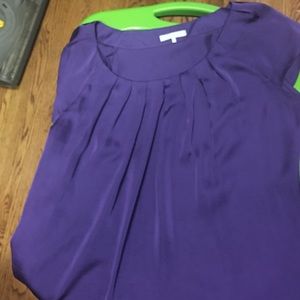 Beautiful purple shell