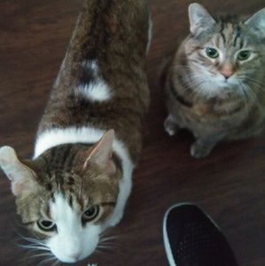 Meet your Posher, Nathaniel