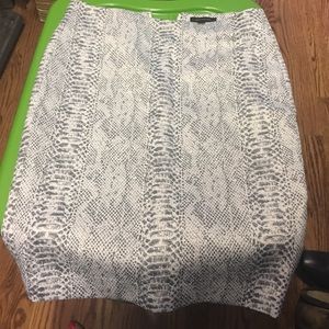 Ann Taylor Skirt