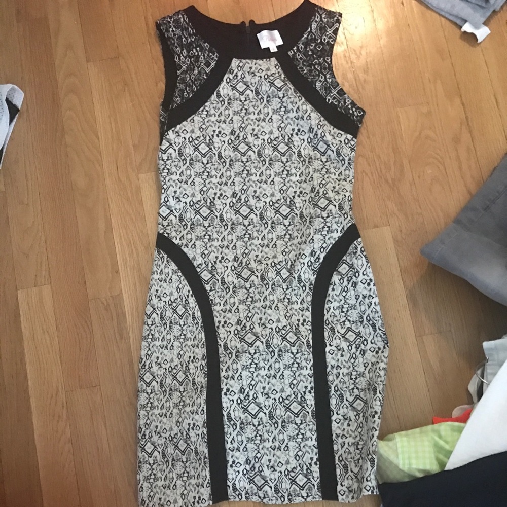 Amazing Parker Cocktail Dress