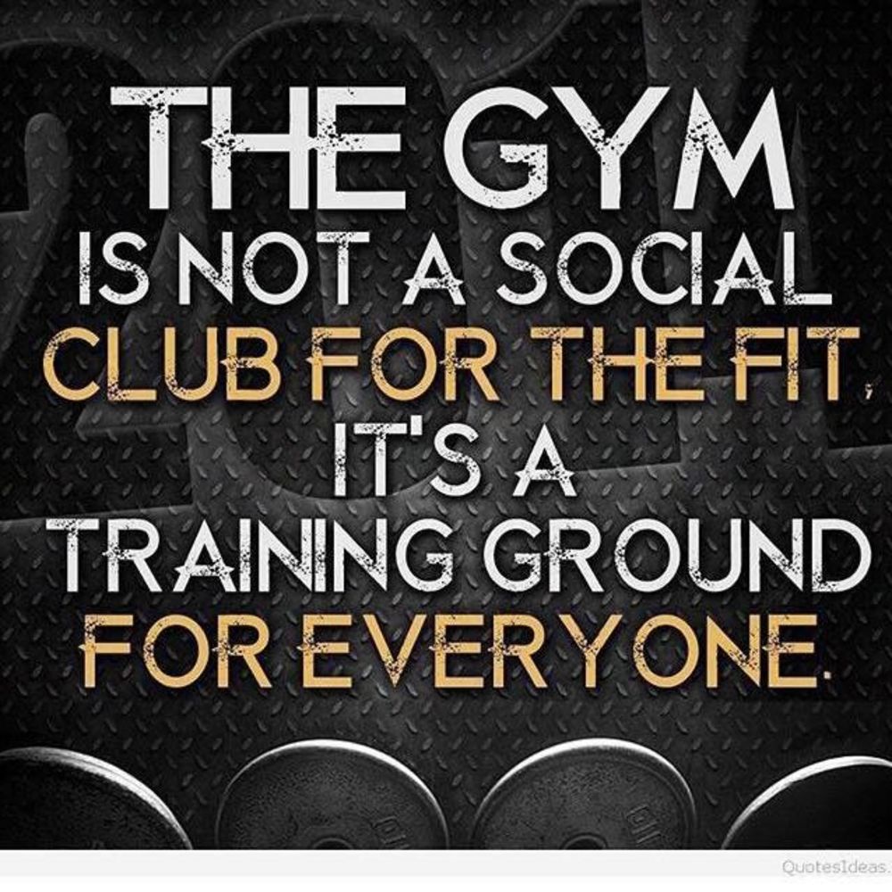 Meet your Posher, Bamse