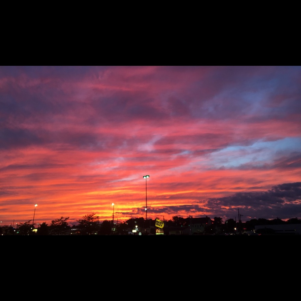 Meet your Posher, Ann