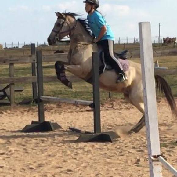 Meet your Posher, Ashlyn - Picture 1 of 1